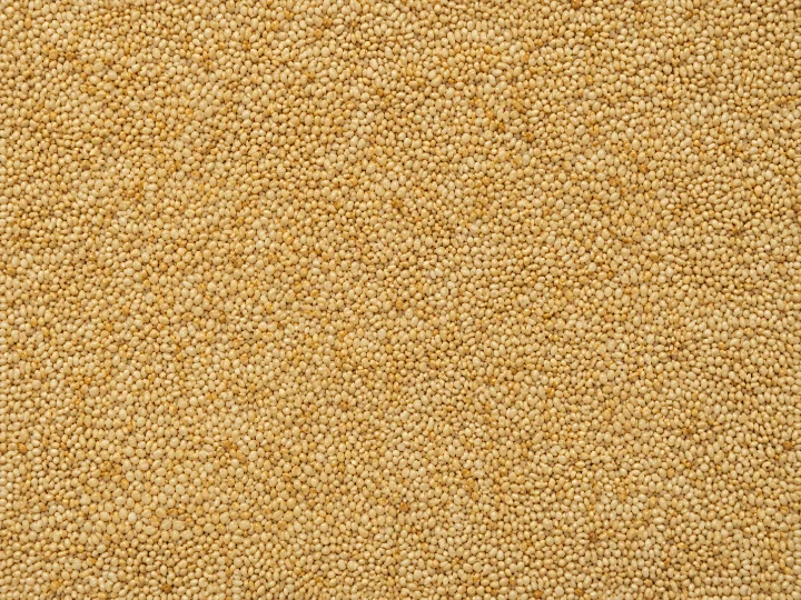 Close-up of Sesame Seeds
